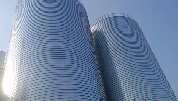 金波乡2座混凝土高架卷板仓